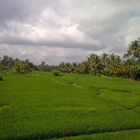 Pondok Tropical Guest House 2