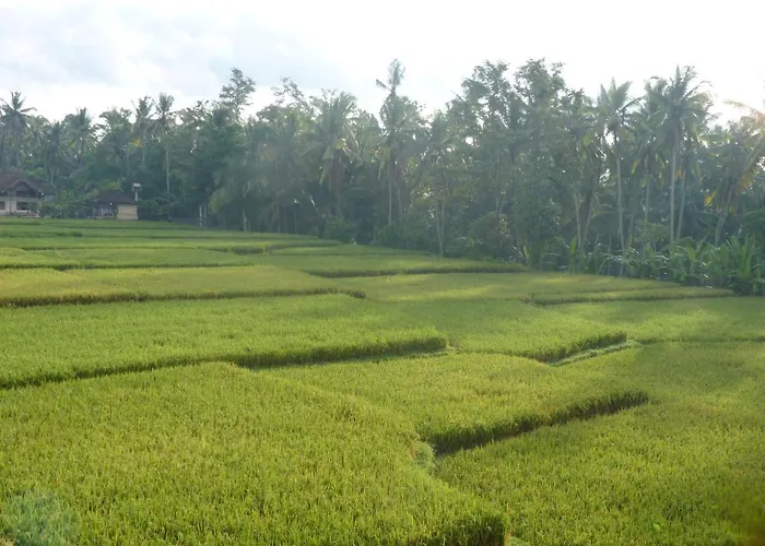 Pondok Tropical 2 *