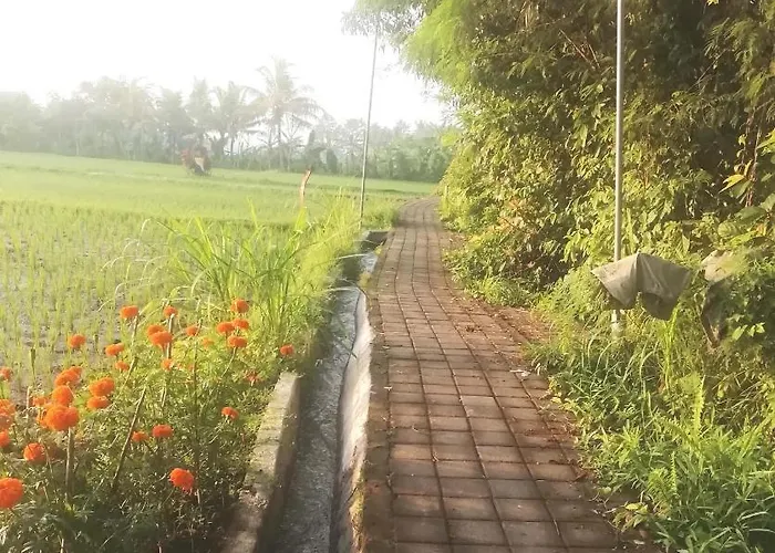 Pondok Tropical 2