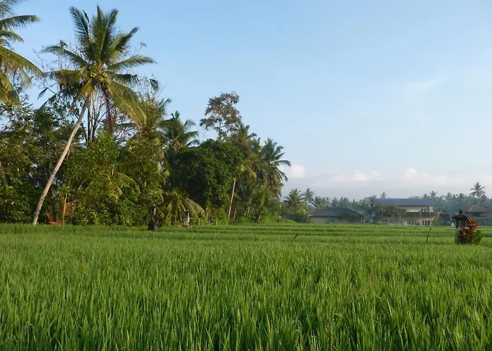 Pondok Tropical 2