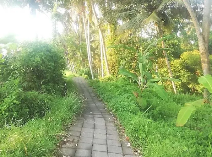 ベッド・アンド・ブレックファスト Pondok Tropical 2