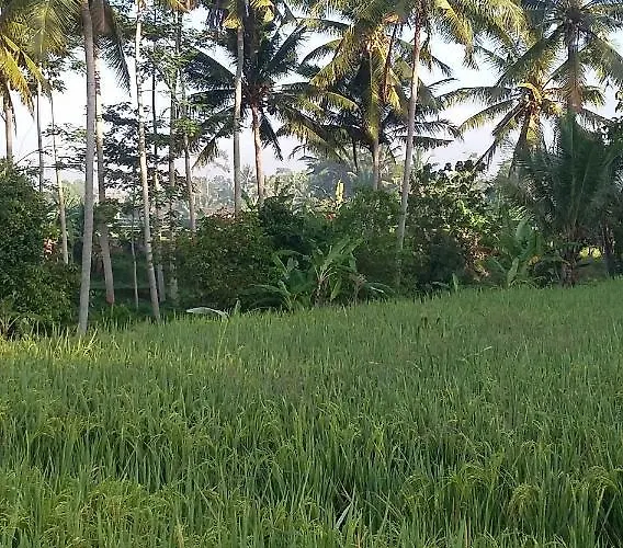 Pondok Tropical 2 ウブド