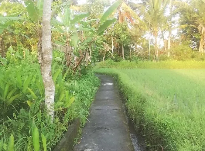 Pondok Tropical 2