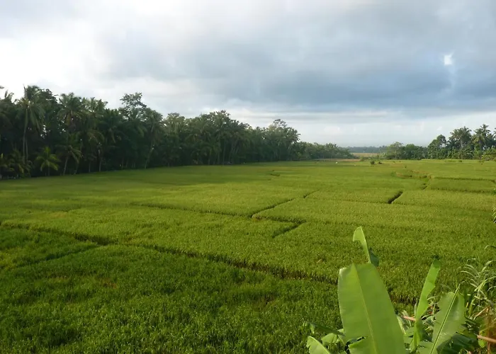 Pondok Tropical 2 *